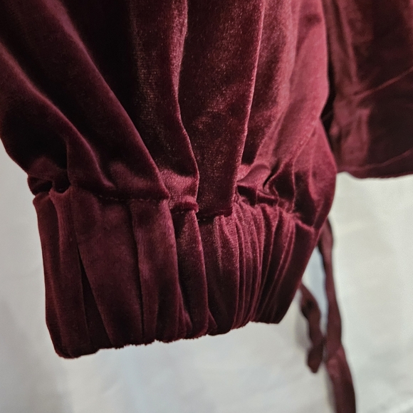 Band of Gypsies Burgundy Velvet Blouse - Picture 2 of 3